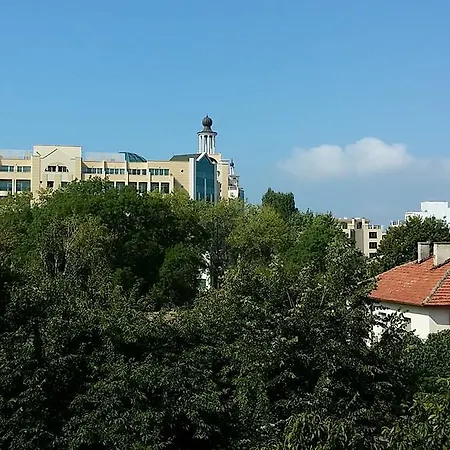 Andrianna * פומורי